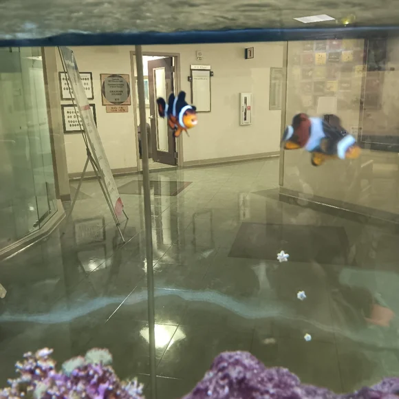 Meet Your Posher /Share my Show - Picture 3 of 8